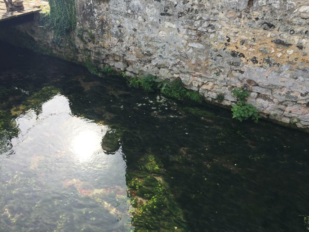 Le Moulin De La Cote Chambre D'Hotes Saint-Vigor Kültér fotó